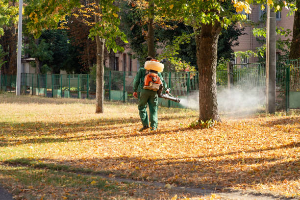 Best Mosquito Control Services  in Ruidoso Downs, NM